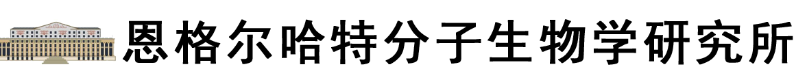俄罗斯科学院恩格尔哈特分子生物学研究所logo